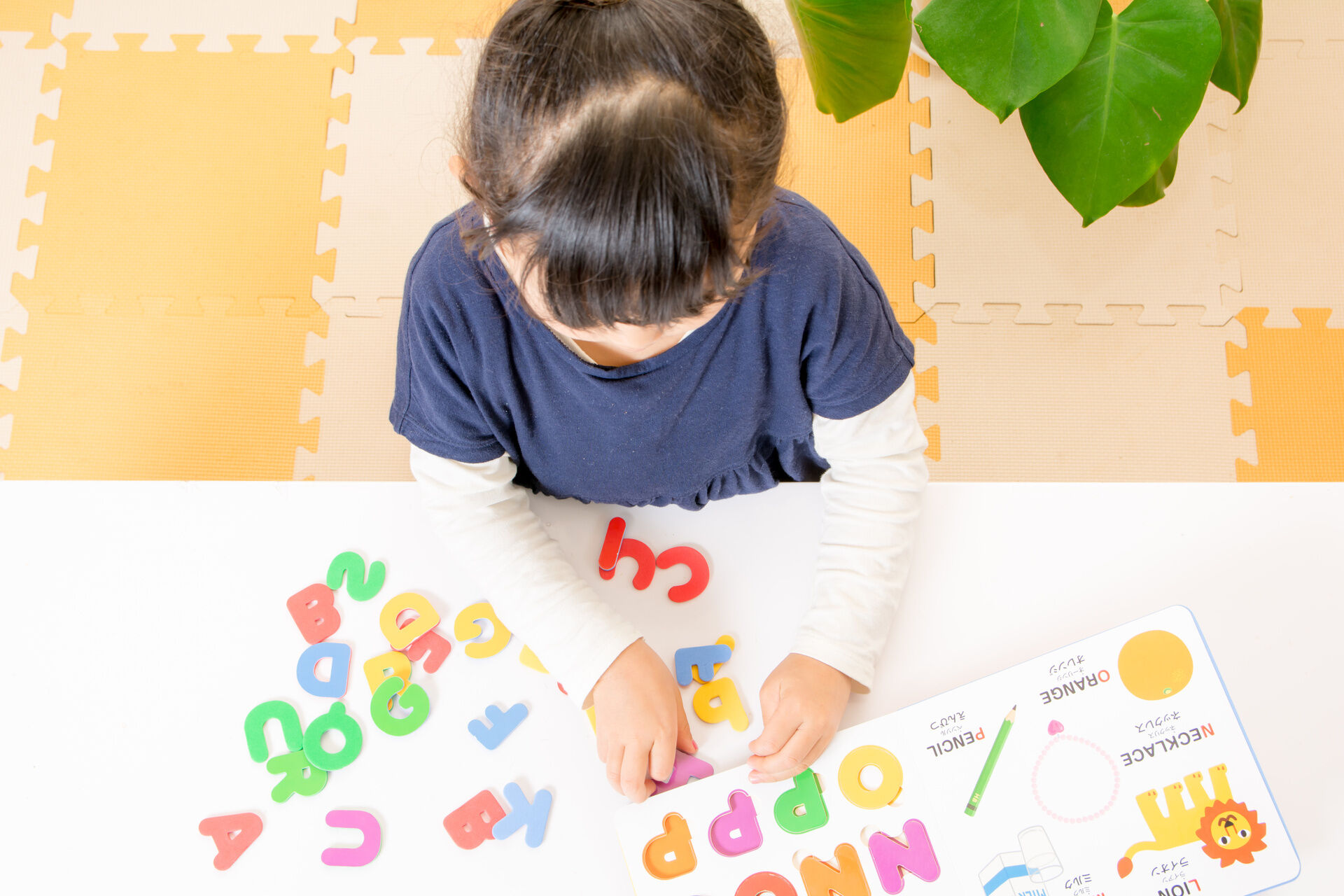 AdobeStock_121306691 (1)